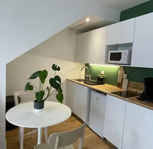 アパート En Hyper Centre Avec En Souplex *